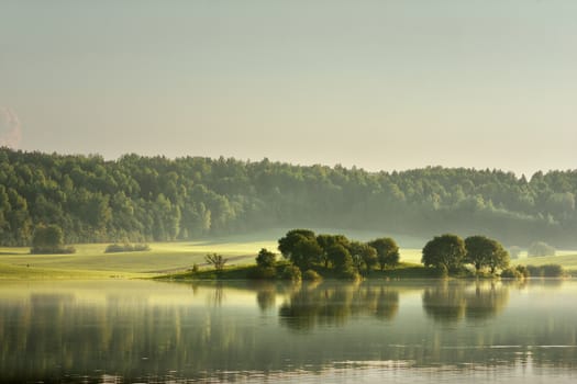 Spring evening. Green May. Spring evening fog