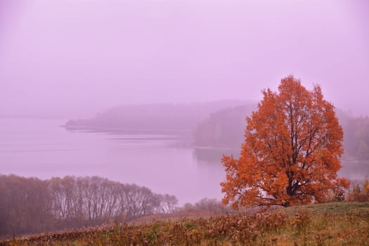 October dawn. Autumn morning. Fall colours. Indian summer.