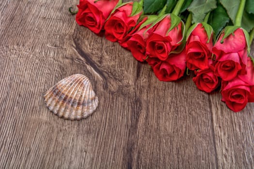 Brown shell and red roses on wooden background