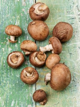 Heap of Fresh Portabello Mushrooms closeup on on Cracked Green Wooden background