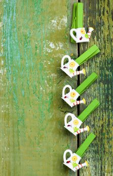 Arrangement of Decorative Gardening and Watering Wooden Pins In a Row on Cracked Green Wooden background