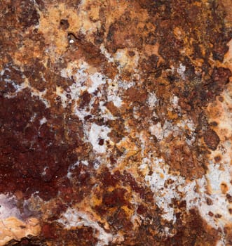 Abstract designs based on geological and other natural materials, appropriate for backgrounds and marketing.