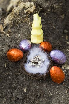 Happy Easter Quail eggs in nest with feather outside France