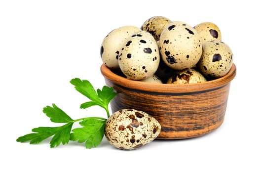 Few fresh quail eggs in a ceramic bowl and a sprig of parsley isolated on white background.