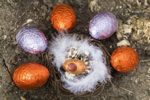 Happy Easter Quail eggs in nest with feather outside France