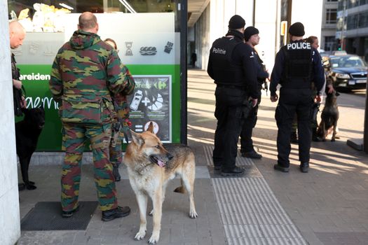 BELGIUM, Brussels: Police officers and dog are pictured in the area of the explosion at the Maelbeek - Maalbeek subway station in Brussels, on March 22, 2016. In the morning two bombs exploded at the departure hall of Brussels Airport and another one at the Maelbeek - Maalbeek subway station, which killed around 30 people.
