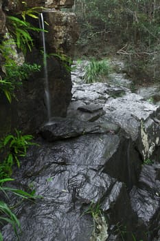 J C Slaughter Falls is a cascade waterfall located near Mt Coot-tha in Brisbane, Queensland, Australia