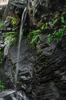 J C Slaughter Falls is a cascade waterfall located near Mt Coot-tha in Brisbane, Queensland, Australia