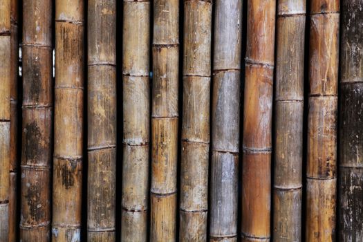 background from old bamboo sticks, wood texture