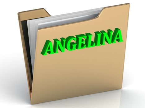 ANGELINA- bright green letters on gold paperwork folder on a white background