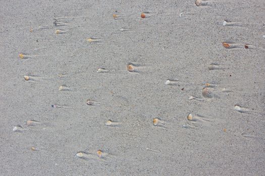 Stone and sand at the sea look like moving