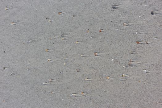 Stone and sand at the sea look like moving