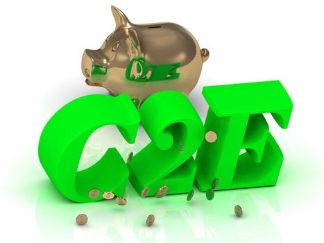C2E - big bright green word, gold Piggy and money on white background
