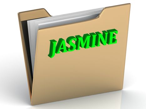 JASMINE- bright green letters on gold paperwork folder on a white background
