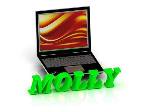 MOLLY- Name and Family bright letters near Notebook and inscription Dating on a white background