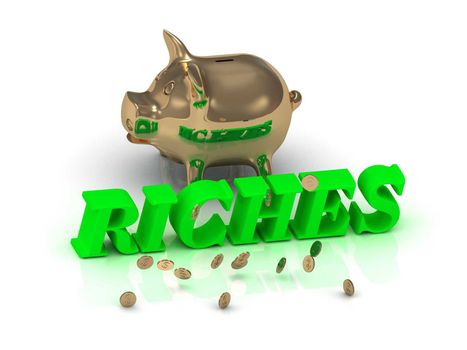 RICHES- inscription of green letters and gold Piggy on white background