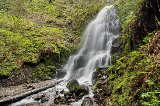 Fairy Falls in Columbia River Gorge along Wahkeena Creek Trail covered in green moss in Spring