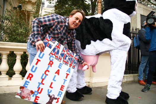 ENGLAND, London: A demonstrator shows a man dressed up as a cow during a farmers rally in London, on March 23, 2016. The march intends to raise awareness, as many farmers across the region are facing an economic crisis. Participants gathered at Waterloo Place and marched to Downing Street. The event was organized by the Farmers For Action (FFA).