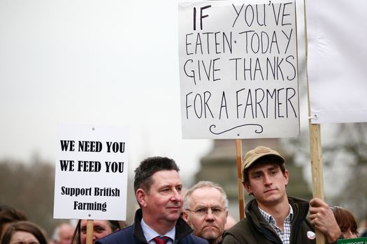 ENGLAND, London: Demonstrators hold up signs during a farmers rally in London, on March 23, 2016. The march intends to raise awareness, as many farmers across the region are facing an economic crisis. Participants gathered at Waterloo Place and marched to Downing Street. The event was organized by the Farmers For Action (FFA).