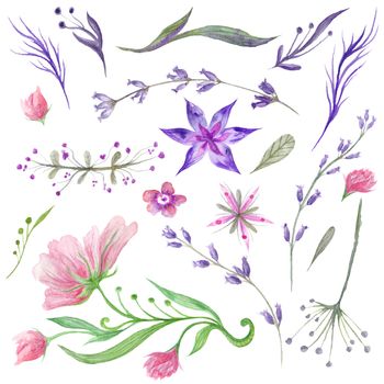 Beautiful collection of tender hand-painted eco floral elements  and plants for wedding, invitation, card design