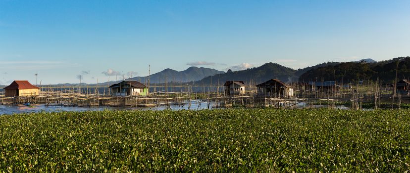 Fish farm and hatchery or nursery, Lake Tondano, Sulawesi, Indonesia (Celebes), Asia
