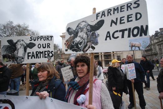 UNITED KINGDOM, London: Protesters hold signs which reads Farmers need action and Support our farmers during a demonstration of English farmers to British Prime Minister office in Downing Street in London on March 23, 2016 to protest against the low cost prices of agricultural product.