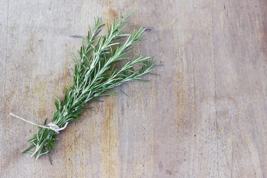 Rosemary (Rosmarinus officinalis) on a wooden board

