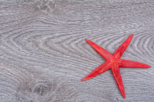 Red starfish on a gray wooden background