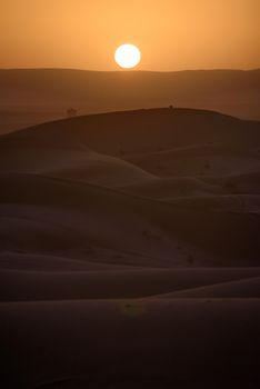 Sand dunes at sunset, Sahara Desert, Hassilabied, Morocco