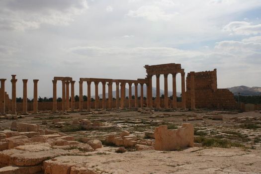 SYRIA, Palmyra : A picture shows ruins of the antique city of Palmyra located on an oasis in central Syria on April 13, 2010. Syria's antiquities chief hailed the imminent recapture of the ancient city of Palmyra from the IS group and vowed to rebuild the famed monuments the jihadists have destroyed, on March 24, 2016.