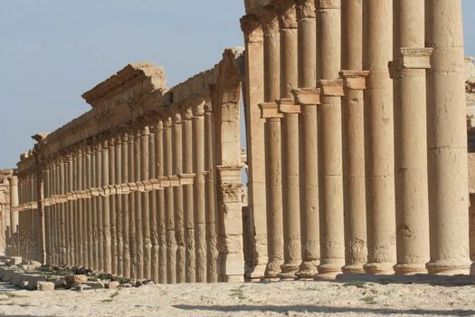 SYRIA, Palmyra : A picture shows ruins of the antique city of Palmyra located on an oasis in central Syria on April 13, 2010. Syria's antiquities chief hailed the imminent recapture of the ancient city of Palmyra from the IS group and vowed to rebuild the famed monuments the jihadists have destroyed, on March 24, 2016.