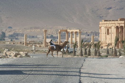 SYRIA, Palmyra : A picture shows ruins of the antique city of Palmyra located on an oasis in central Syria on April 13, 2010. Syria's antiquities chief hailed the imminent recapture of the ancient city of Palmyra from the IS group and vowed to rebuild the famed monuments the jihadists have destroyed, on March 24, 2016.