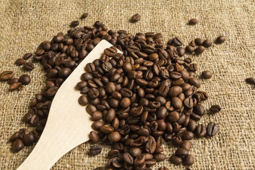 Coffee beans on a wooden spoon