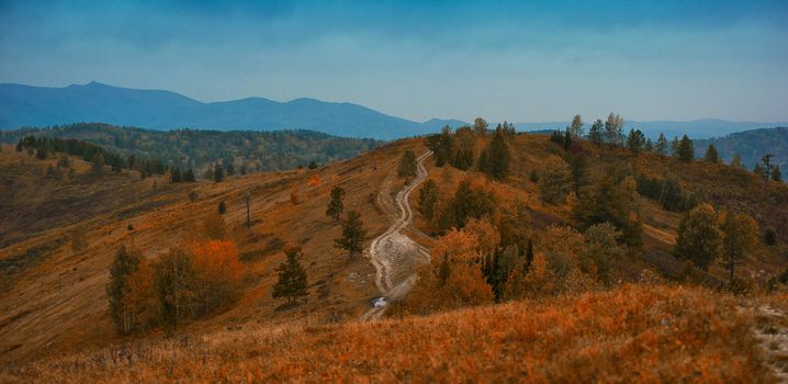 Mountain road in the autumn day in Altay, Siberia, Russia
