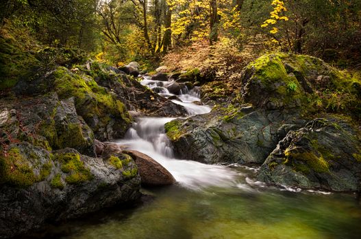 Fall color exploding over Brandy Creek. Whiskeytown National Recreation Area.