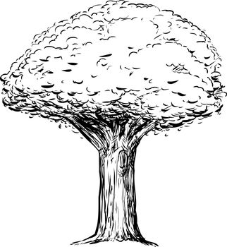 Outline sketch of tree with thick trunk over white background