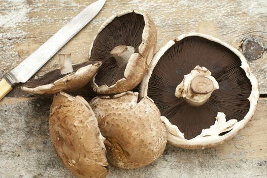 Set of five large raw portobello mushroom caps beside one long knife on a weathered rustic wooden table