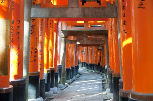 Long row of brightly lit historic red torri gates adorned with asian calligraphy at the Fushimi Inari-taisha shrine in Japan