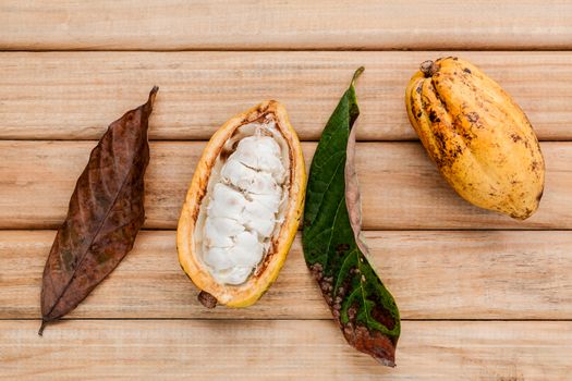 Ripe Indonesia's cocoa  setup on rustic wooden background.