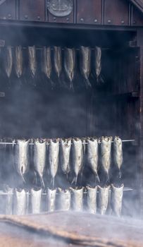 smoking room with bio herrings fishes France Normandy 