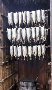 smoking room with bio herrings fishes France Normandy 