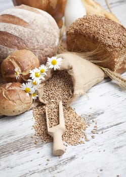 Freshly baked bread rolls, wheat ears and honey