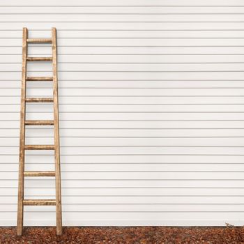 wooden plank wall and the ladder, ground covered with fallen leaves