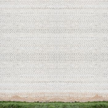 huge grunge white brick wall and green grass background