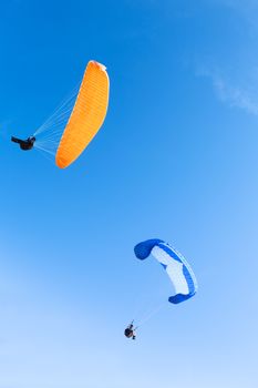 paraglider on the blue sky