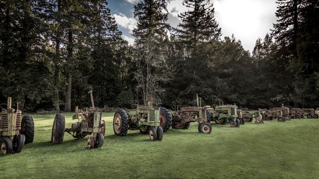 Antique Tractors in a Field, Color Image, Day