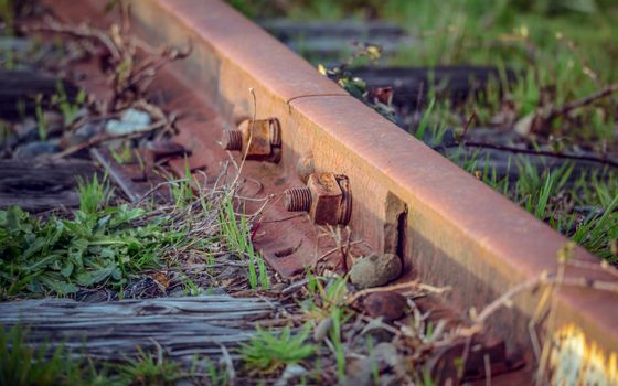 A small portion of a rusty railroad track overgrown with weeds.