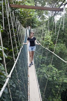 Canopy walkway. Taman Negara National Park. Malaysia