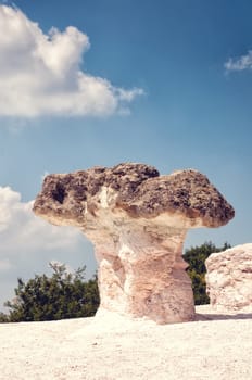 The Stone Mushrooms near Beli Plast Village in Bulgaria