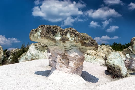 The Stone Mushrooms near Beli Plast Village in Bulgaria